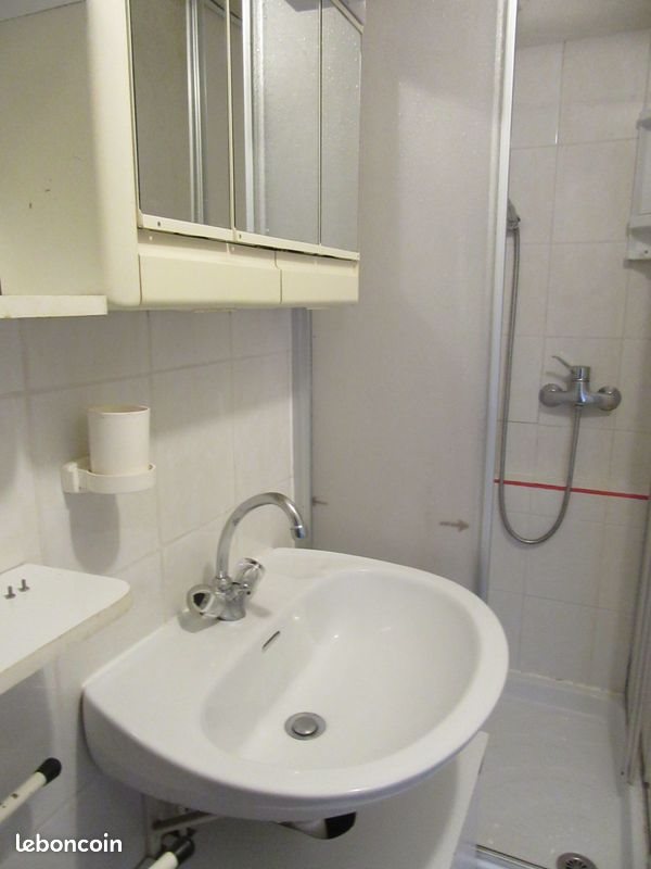 Appartement à louer, 25m², Nancy