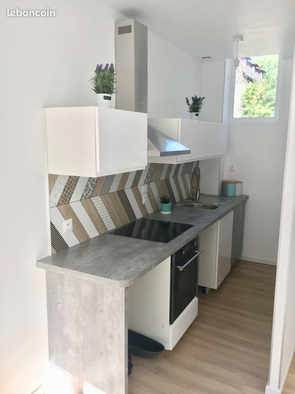 Appartement à louer, 61m², Carvin