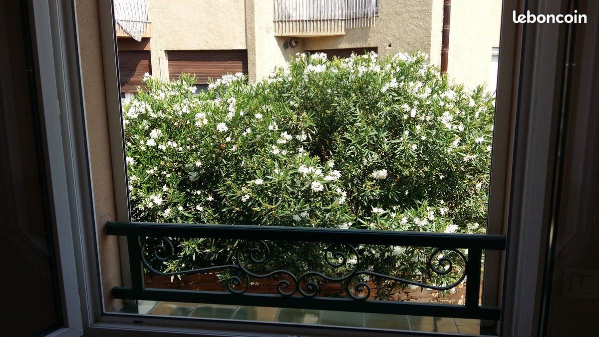 Appartement à louer, 43m², Perpignan