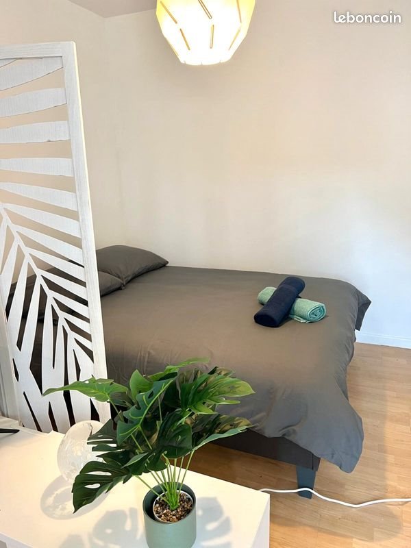 Appartement à louer, 29m², Toulouse