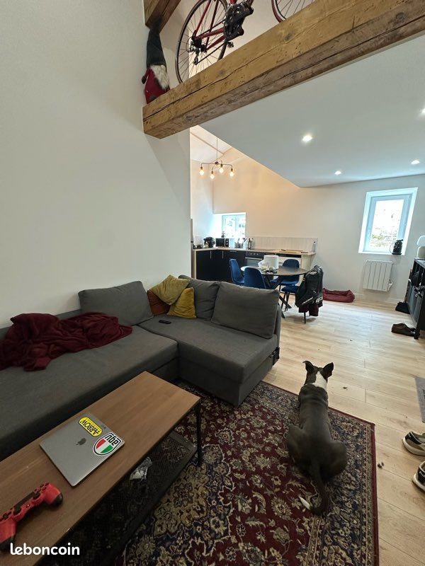 Appartement à louer, 48m², Caluire-et-Cuire