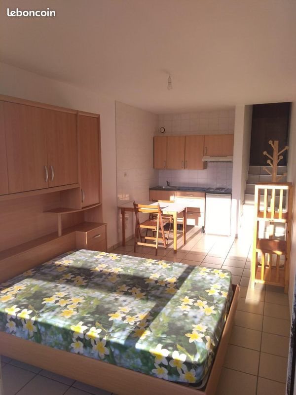 Appartement à louer, 21m², Villeurbanne