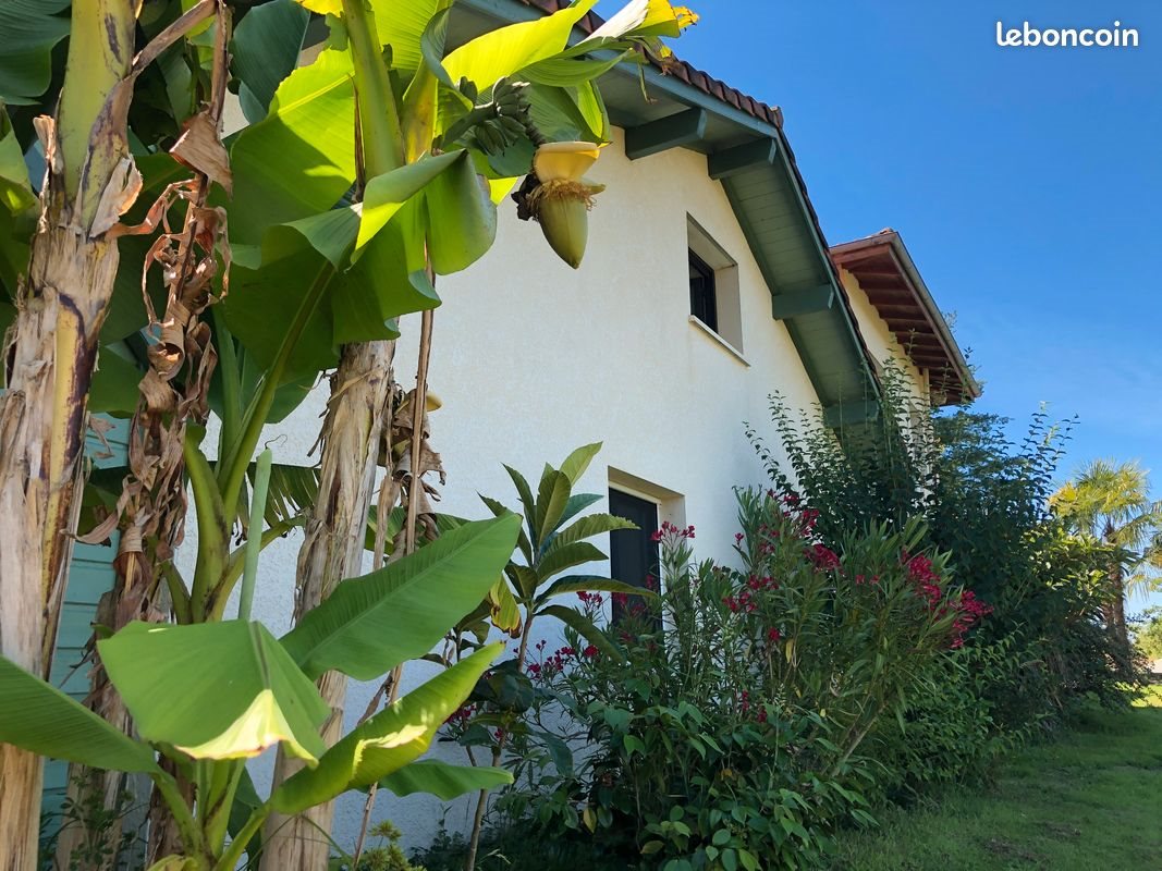 Appartement à louer, 50m², Pontonx-sur-l'Adour