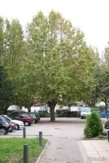 Appartement à louer, 28m², Saint-Symphorien-d'Ozon