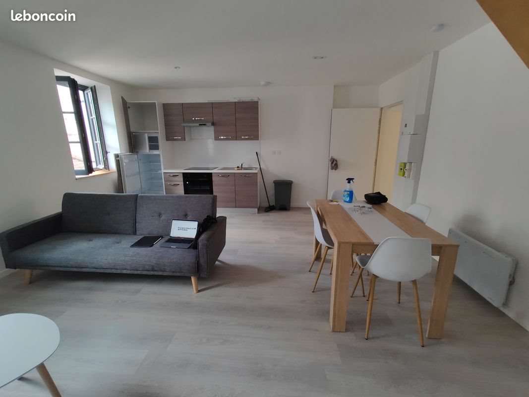 Appartement à louer, 55m², Tarare