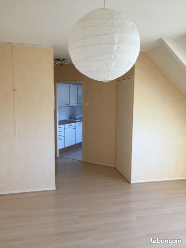 Appartement à louer, 55m², Brive-la-Gaillarde