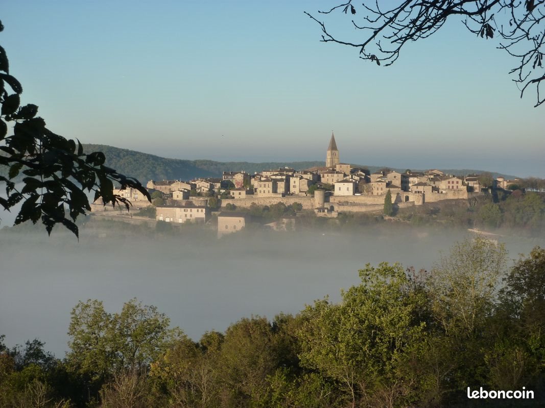 Maison à vendre, 300m², Puycelsi