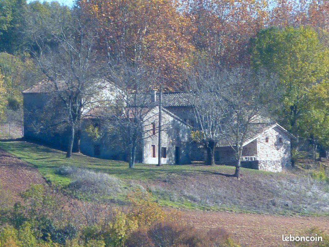 Maison à vendre, 300m², Puycelsi