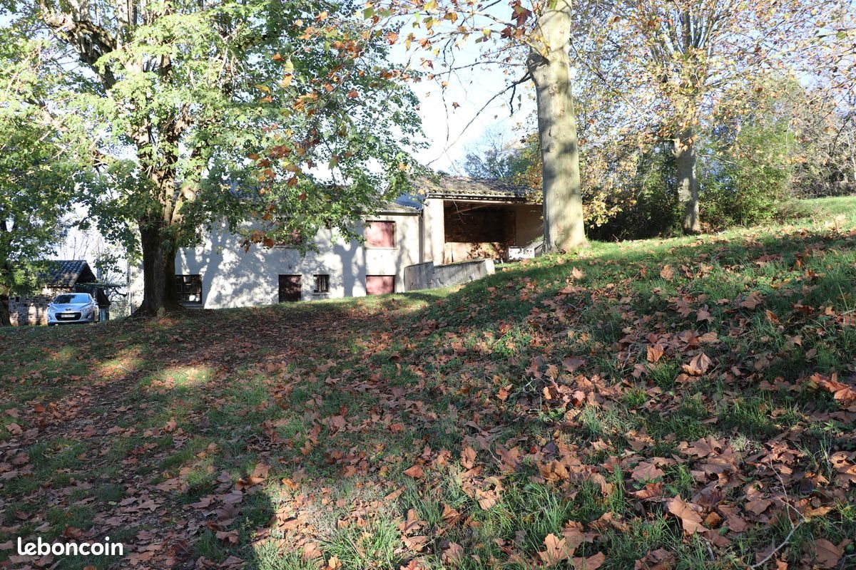 Maison à vendre, 300m², Puycelsi