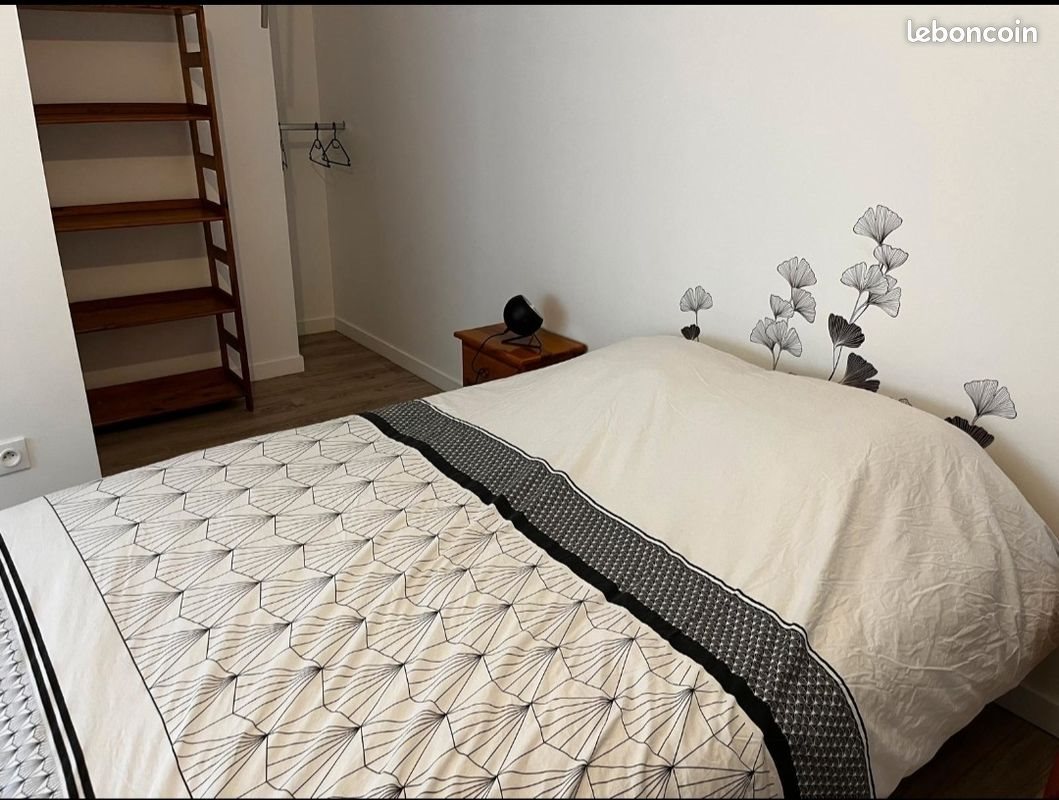 Appartement à louer, 50m², Panissières