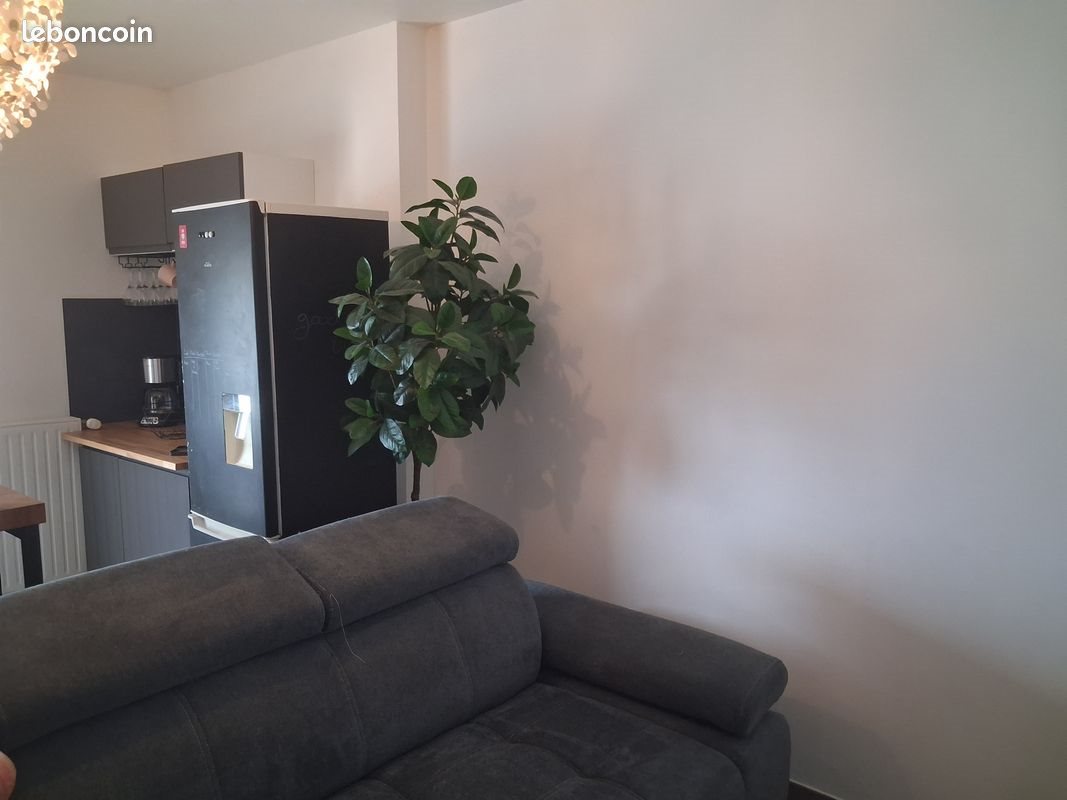 Appartement à louer, 57m², Tours