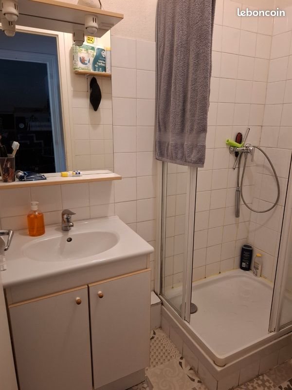 Appartement à louer, 39m², Albertville