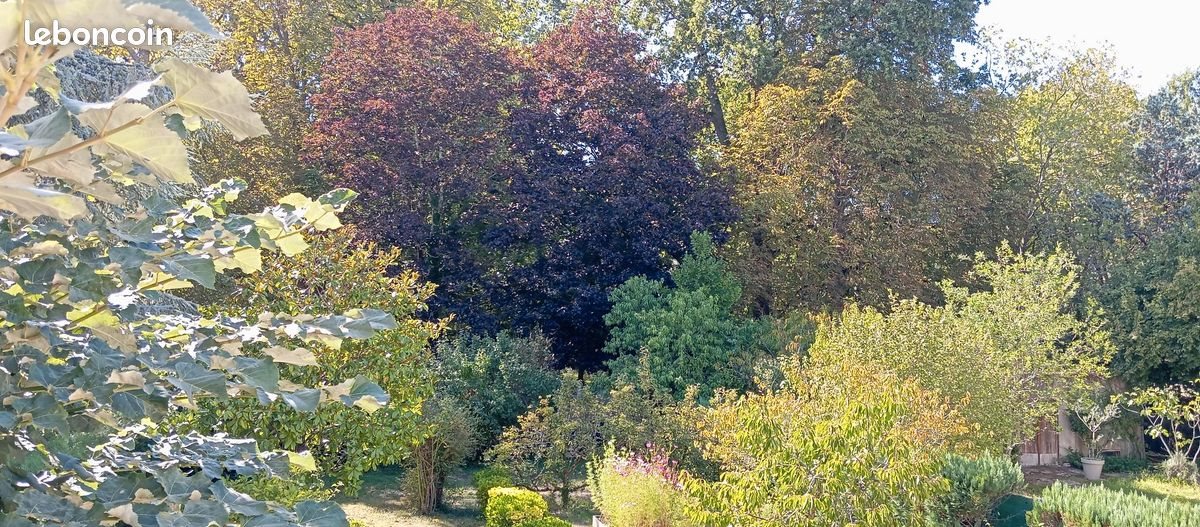 Maison à vendre, 120m², Saint-Cyr-sur-Loire