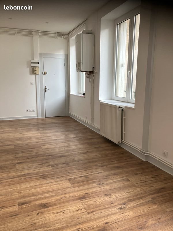 Appartement à louer, 44m², Saint-Etienne