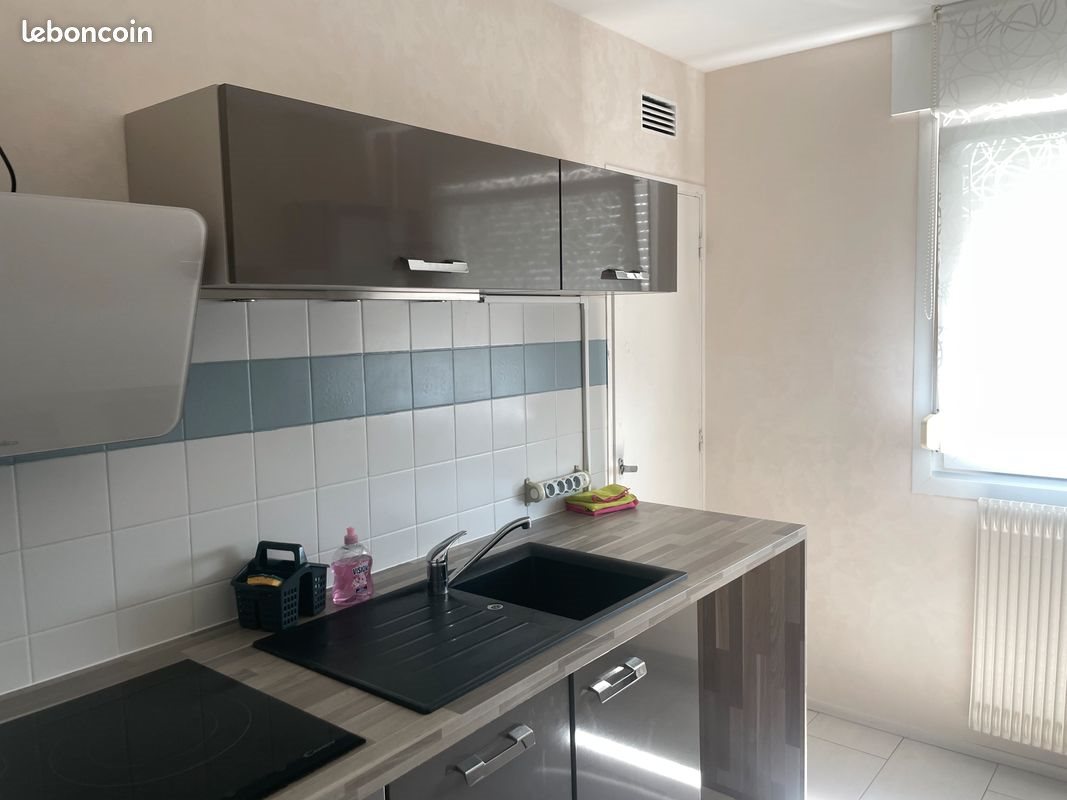 Appartement à louer, 47m², Colmar