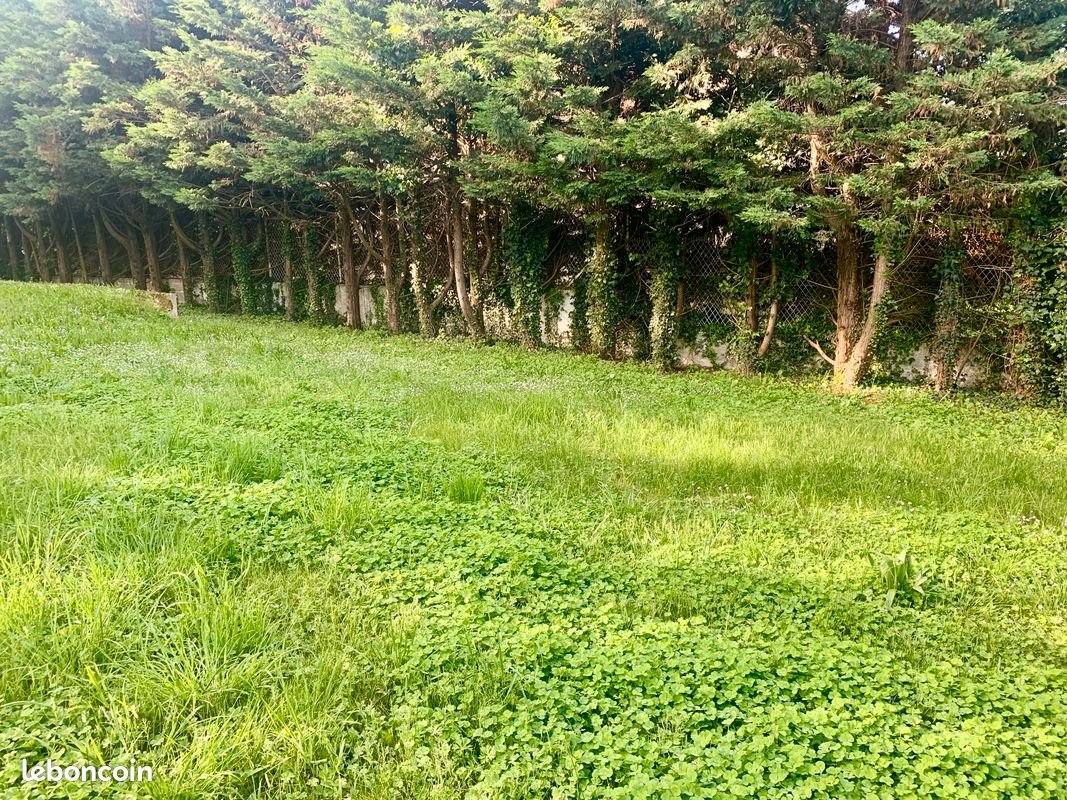 Maison à vendre, 300m², Écully