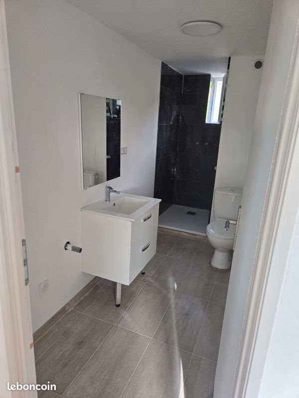 Appartement à louer, 65m², Cours-la-Ville
