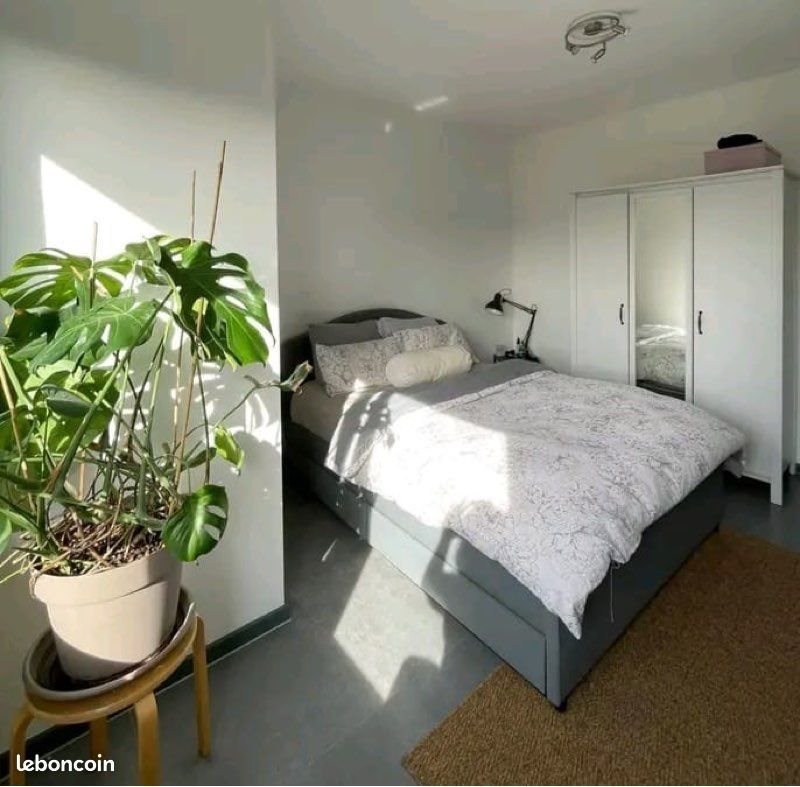 Appartement à louer, 35m², Tours