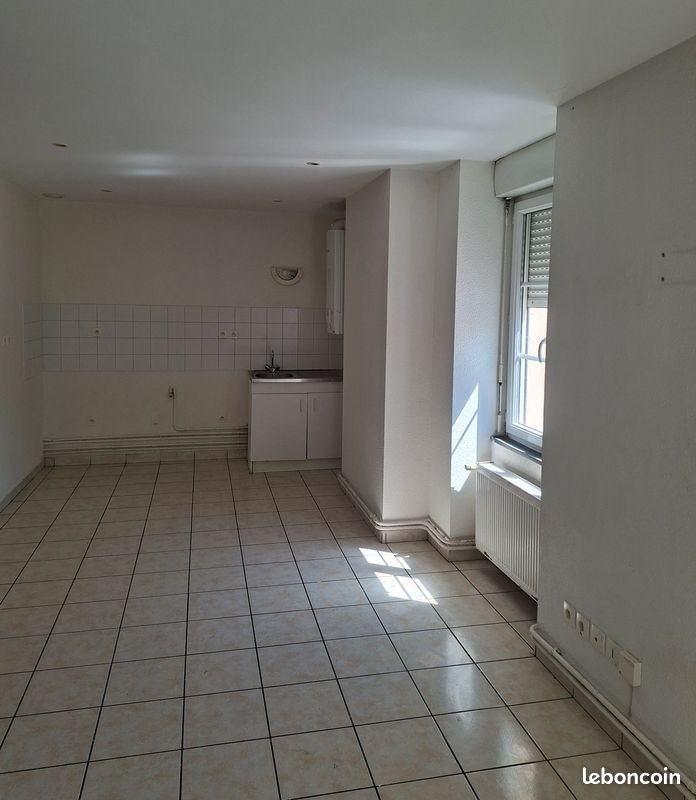 Appartement à louer, 50m², Roanne