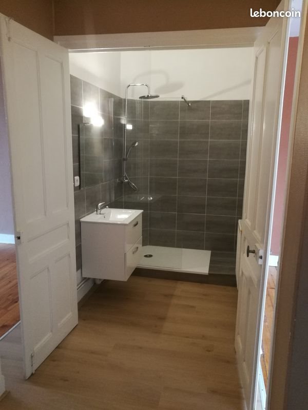 Appartement à louer, 40m², Saint-Etienne
