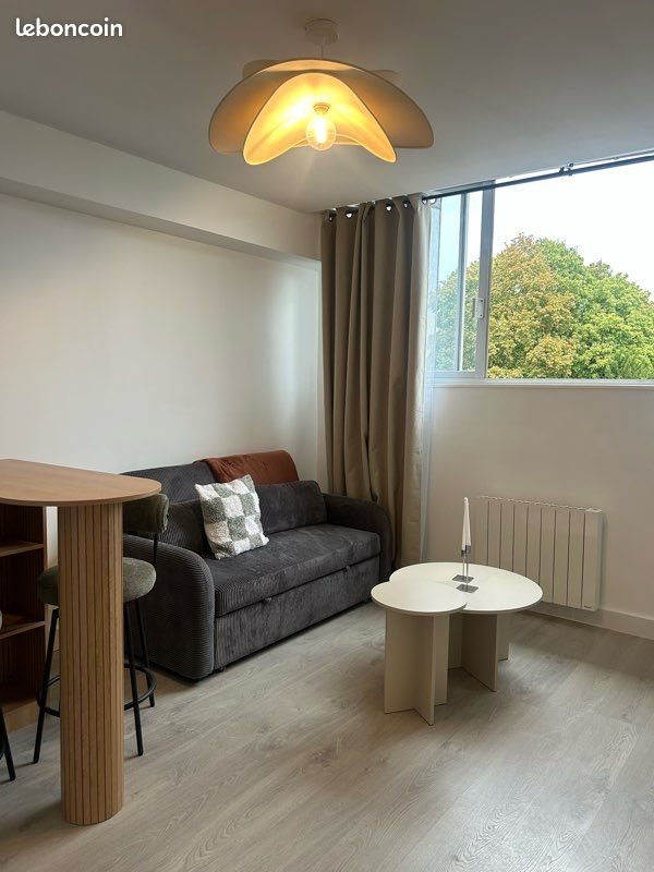Appartement à louer, 31m², Nancy