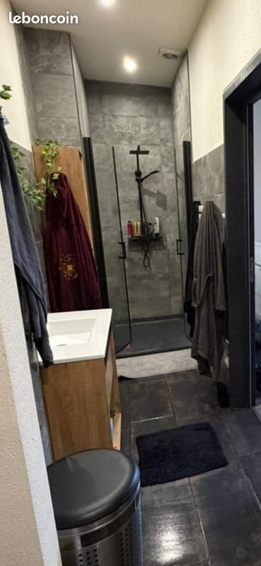 Appartement à louer, 55m², Seppois-le-Bas