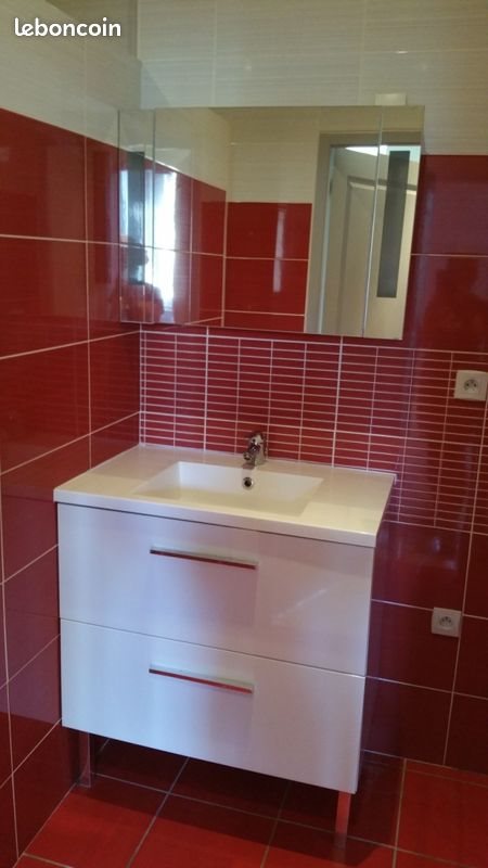 Appartement à louer, 47m², Belleville