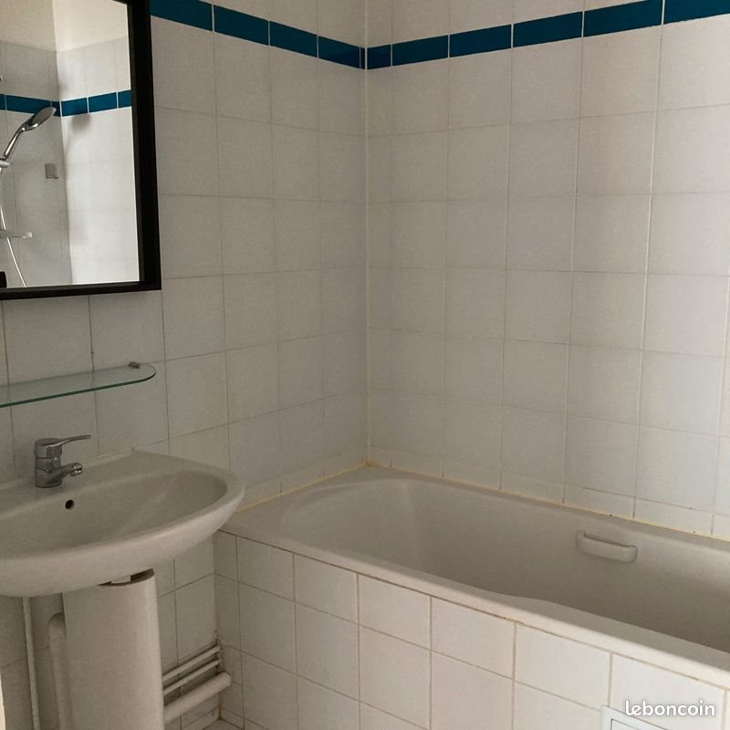 Appartement à louer, 52m², Lille