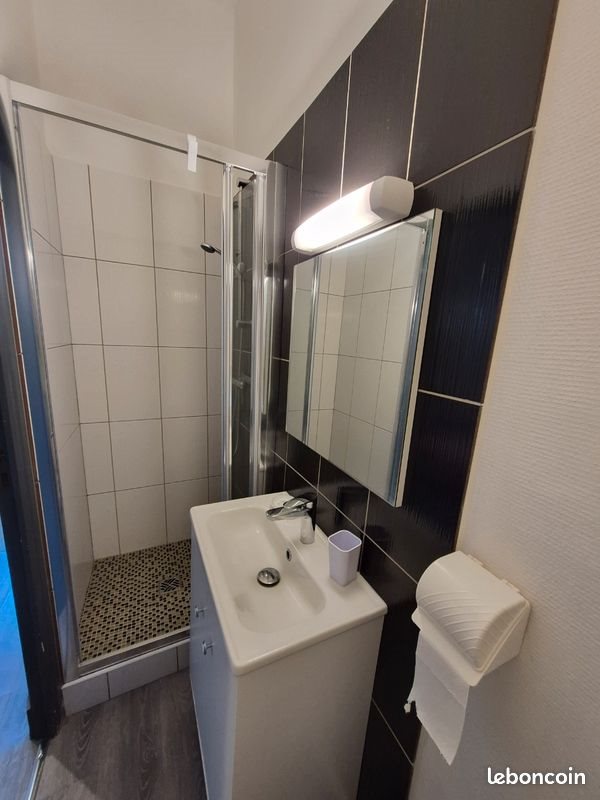 Appartement à louer, 19m², Châtel-Guyon