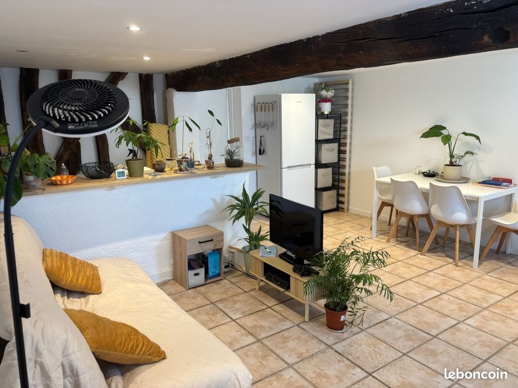 Appartement à louer, 46m², Châteauneuf-sur-Loire