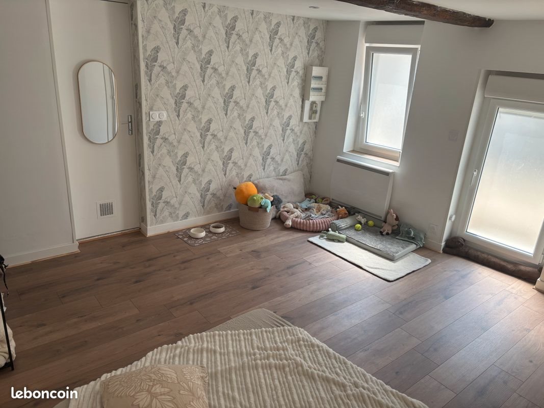 Appartement à louer, 46m², Châteauneuf-sur-Loire