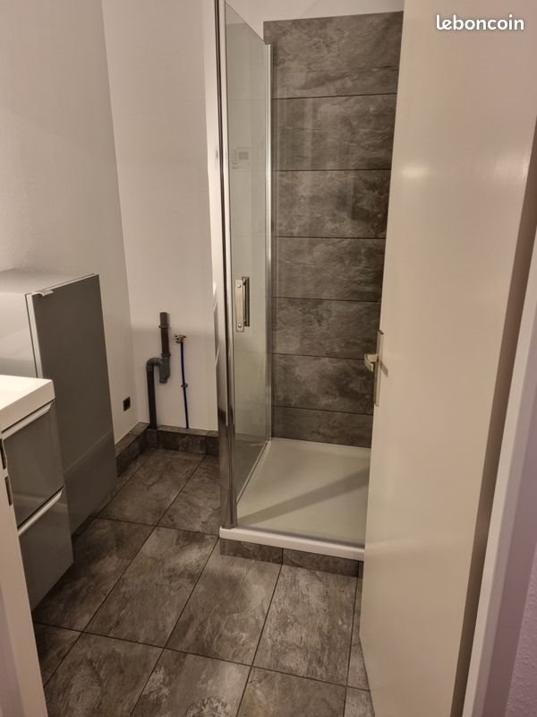Appartement à louer, 47m², Colmar
