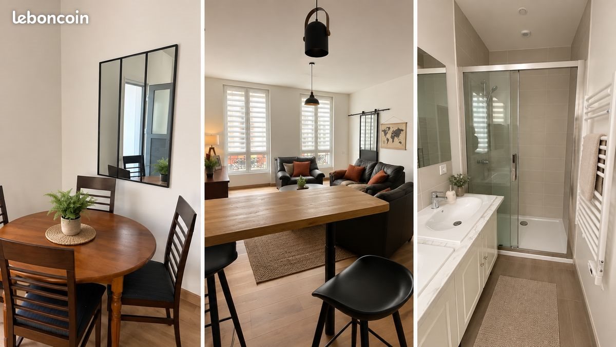 Appartement à louer, 50m², Le Mans