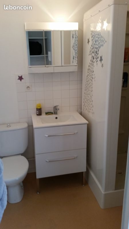 Appartement à louer, 22m², Le Mans