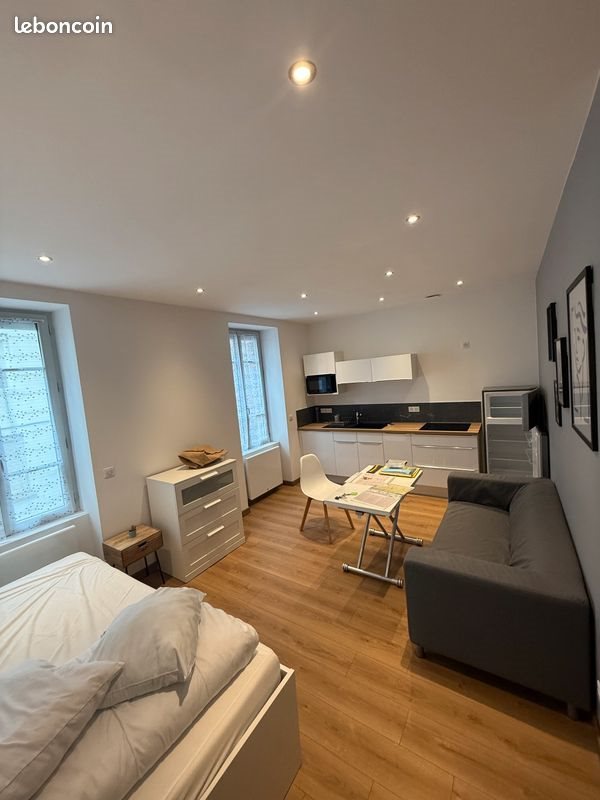 Appartement à louer, 30m², Saint-Etienne