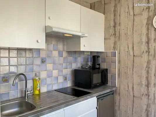 Appartement à louer, 31m², Tours