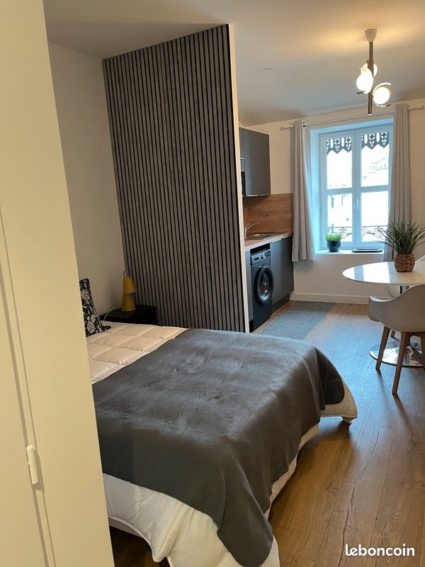 Appartement à louer, 24m², Villeurbanne