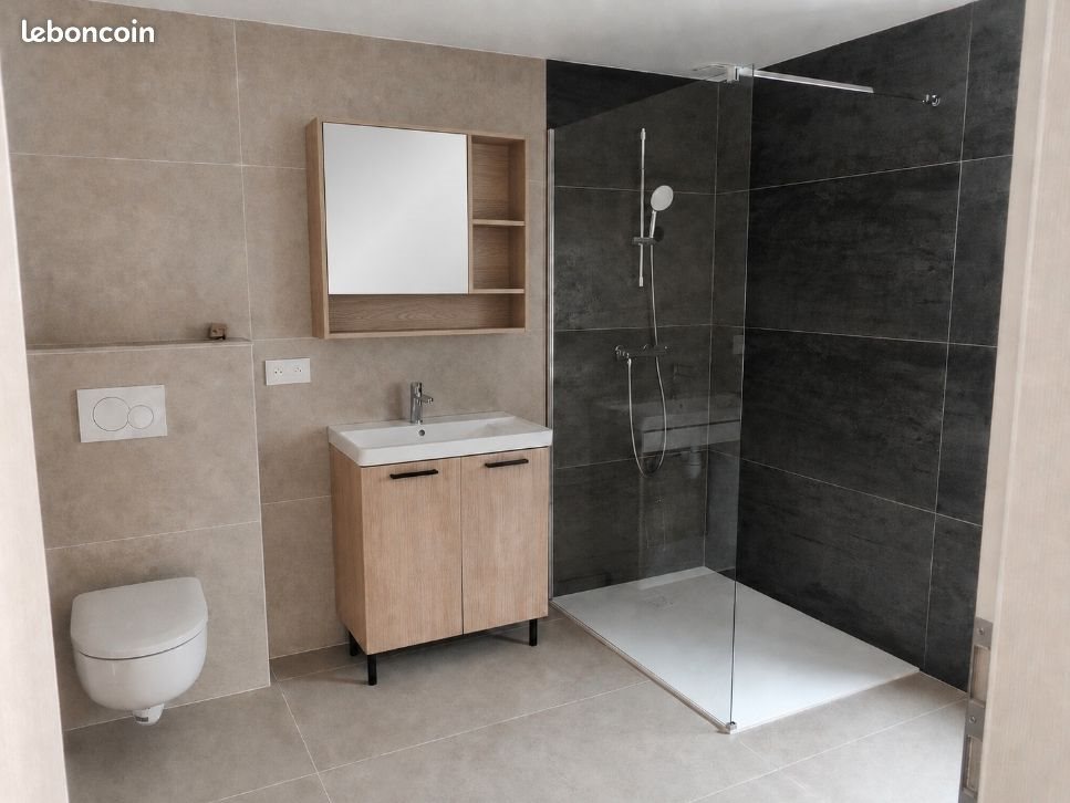 Appartement à louer, 68m², Altkirch