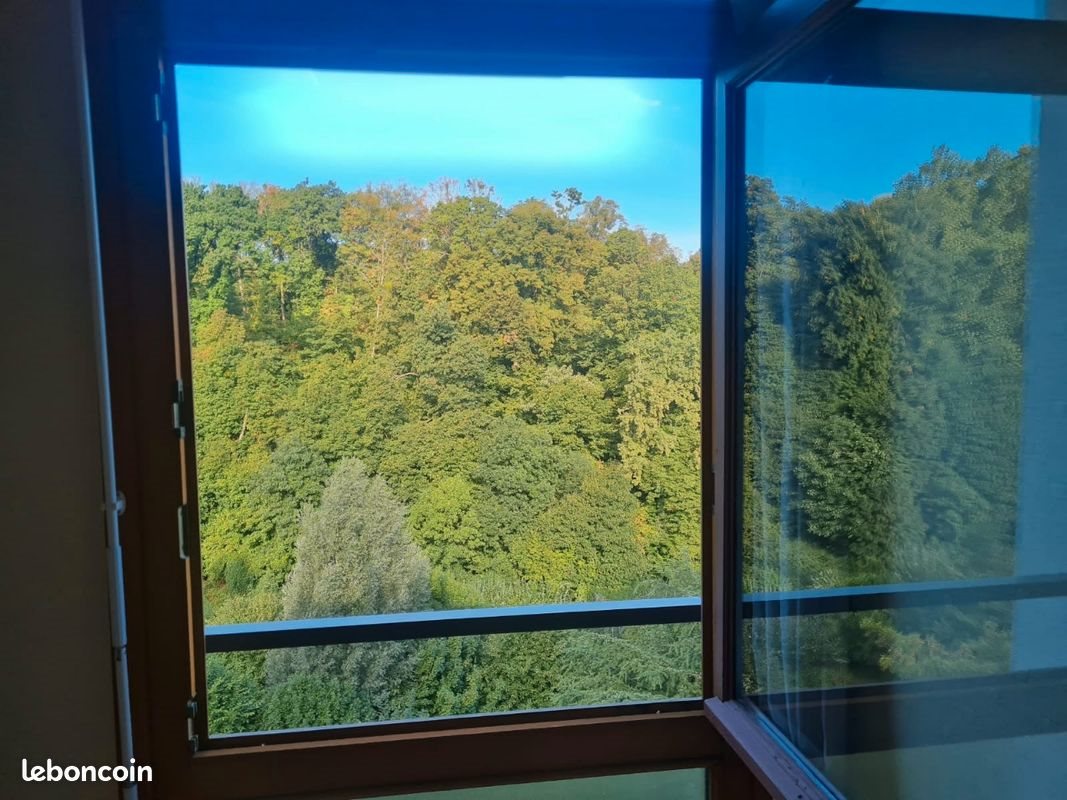 Appartement à louer, 70m², Oullins