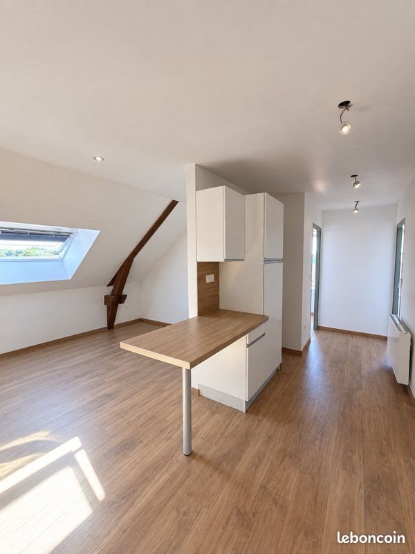 Appartement à louer, 50m², Belfort