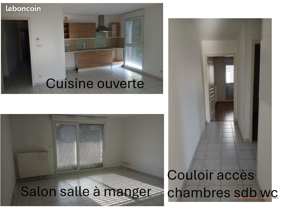 Appartement à louer, 66m², Offemont