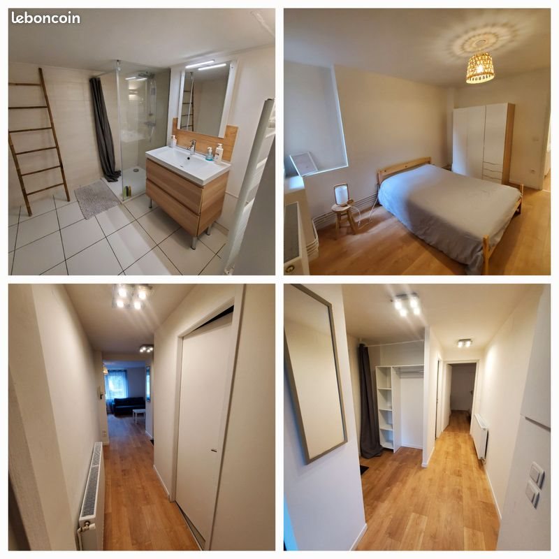 Appartement à louer, 49m², Dieuze