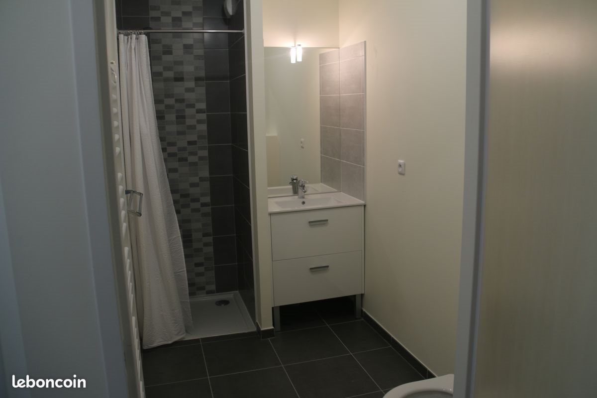 Appartement à vendre, 41m², Olivet