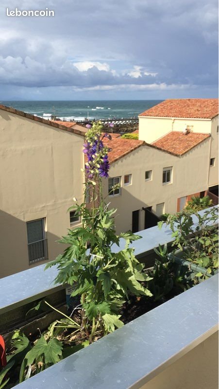 Appartement à louer, 35m², Capbreton