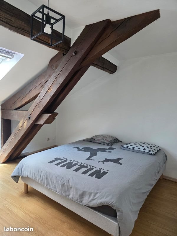Appartement à louer, 45m², Nancy