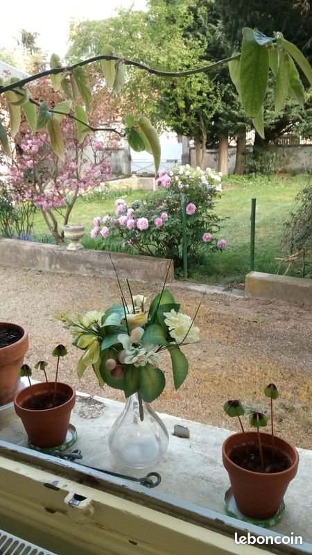 Maison à vendre, 240m², Valençay