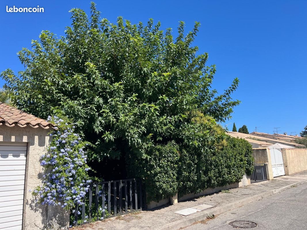 Maison à vendre, 108m², Pélissanne