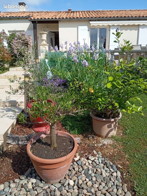 Maison à vendre, 97m², Aulnay