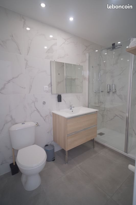 Appartement à louer, 38m², Villeurbanne