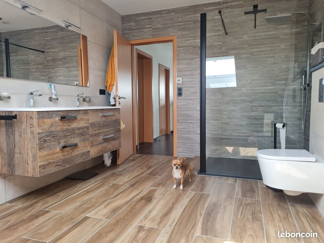 Appartement à louer, 140m², Henriville
